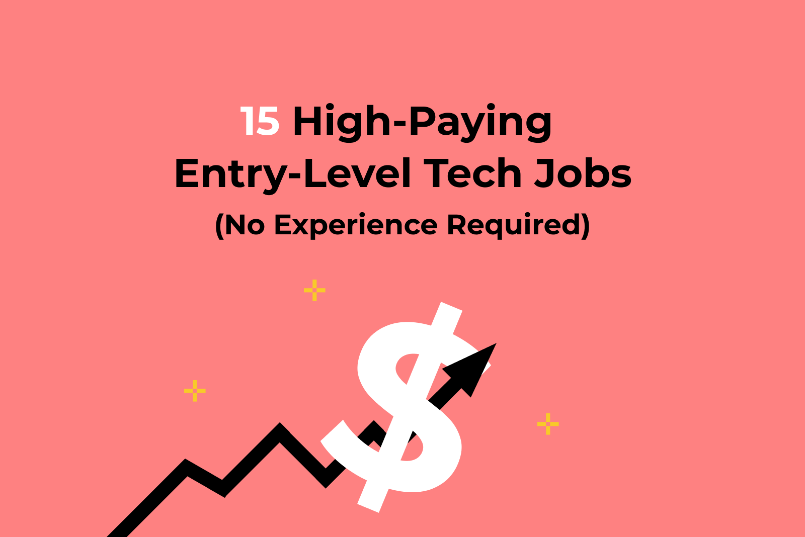 15 High-Paying Entry Level Tech Jobs (No Experience Required)